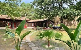 Hacienda de la Canopée