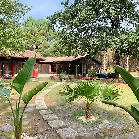 Hacienda de la Canopée Hourtin Extérieur photo