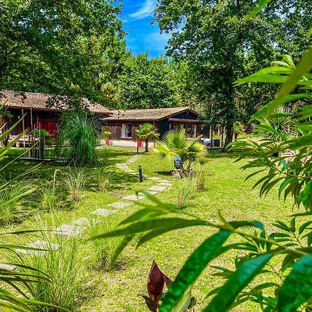 Hacienda de la Canopée Hourtin Extérieur photo