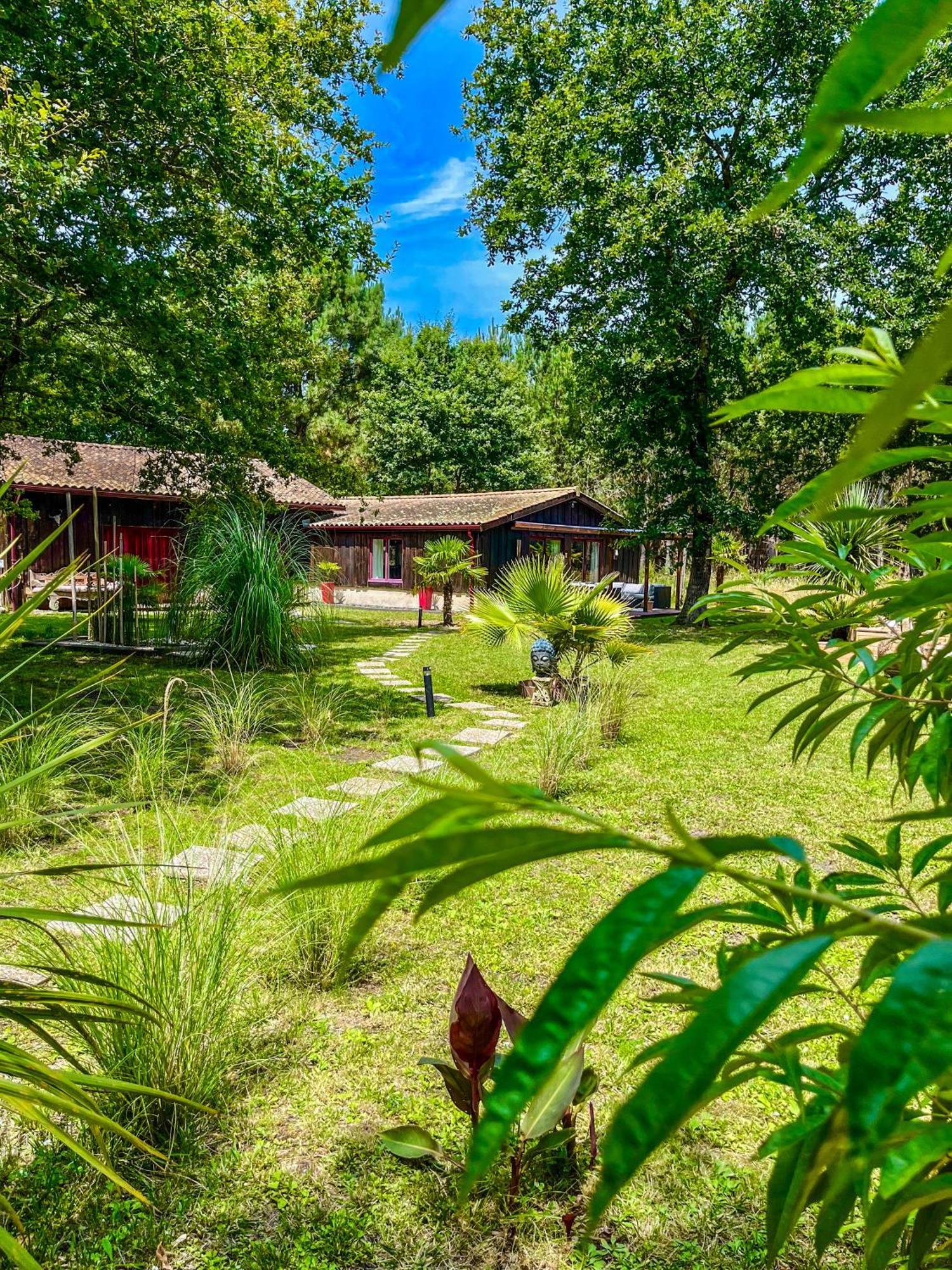 Hacienda de la Canopée Hourtin Extérieur photo